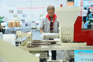 抓好行業(yè)標(biāo)準(zhǔn) 研發(fā)新型基質(zhì)為黑木耳產(chǎn)業(yè)化發(fā)展提速 中國(guó)食品報(bào)網(wǎng)