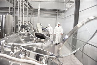 逐勢(shì)創(chuàng)新 搶占市場(chǎng)